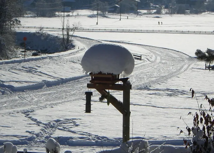 Hofer Neustift im Stubaital